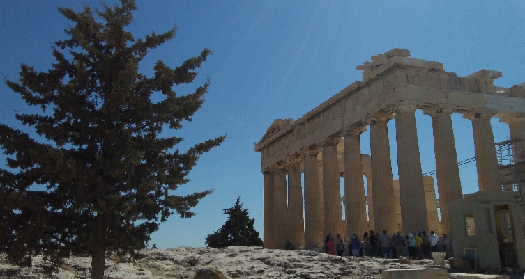 2011-307-Athens-ParthenonWithTree