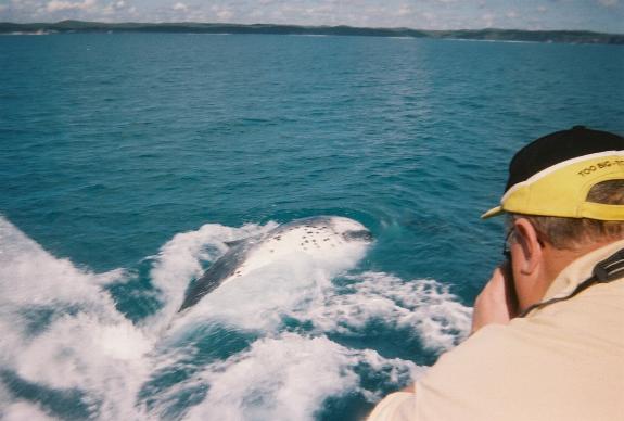 Morisset Social - Circus Theme