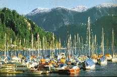 DeepCove