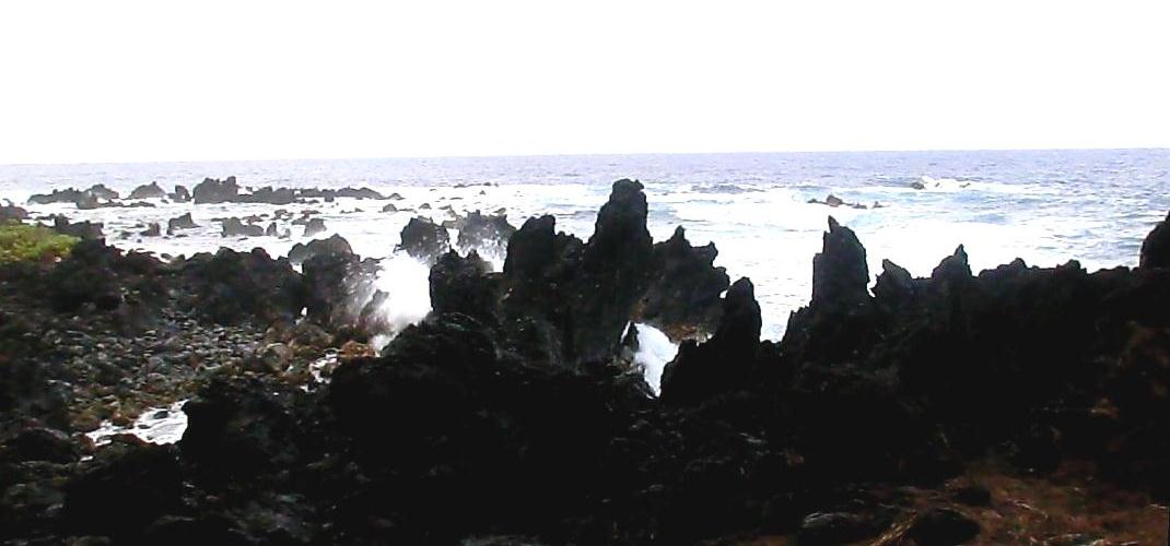 Laupahoehoe rocks and waves 2