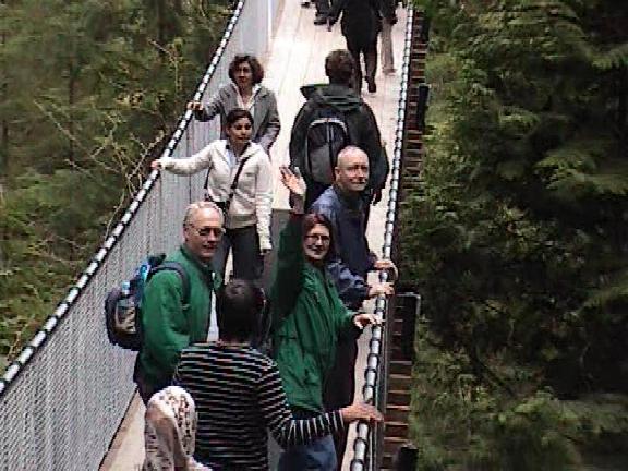 Capilano Bridge Wave