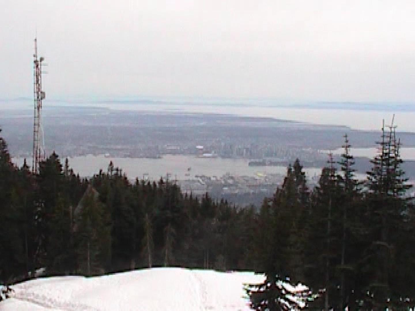 View of Downtown 1