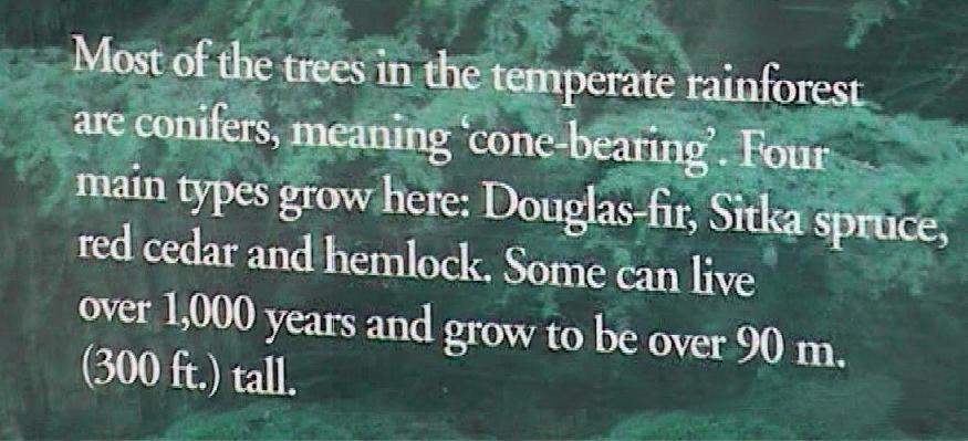 West Coast Trees Info